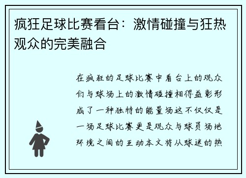 疯狂足球比赛看台：激情碰撞与狂热观众的完美融合